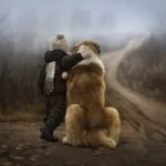 Елена Бартош